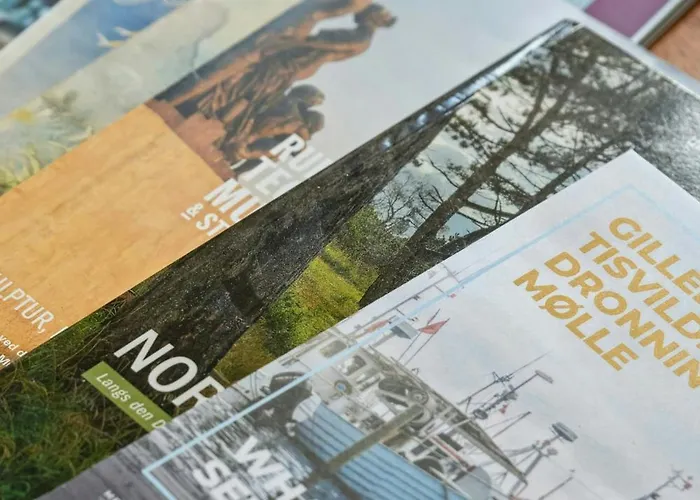 The Small Oasis With Vibes In Dronningmolle