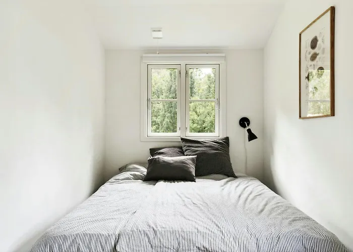 The Small Oasis With Vibes In