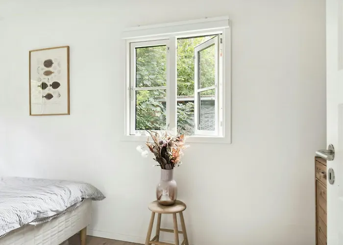 The Small Oasis With Vibes In Dronningmolle *